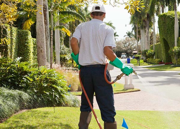 About East Saint Johnsbury VT Pest Control